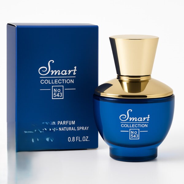 عطر ورساچه دیلان بلو